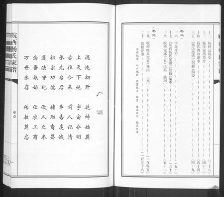 安徽杨氏族谱-皖西杨氏家谱 [3卷].pdf电子版插图3