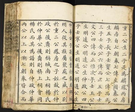 江西杨氏族谱-城南杨氏麟房族谱.pdf电子版插图3