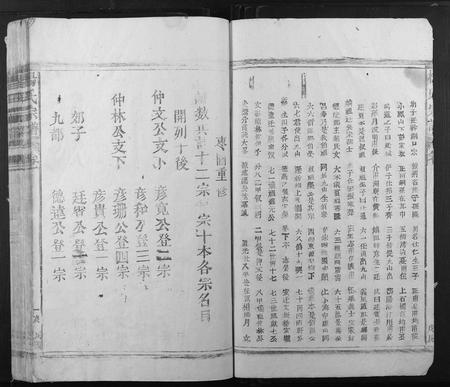江西杨氏族谱-杨氏宗谱.pdf电子版插图3