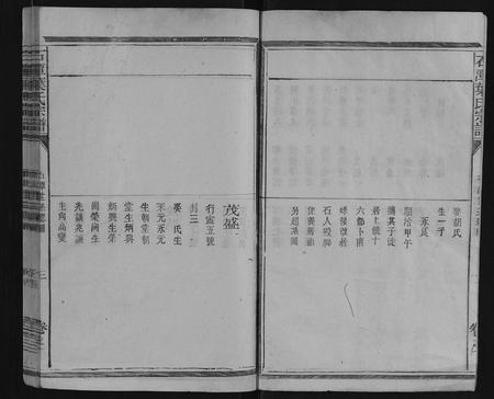 安徽叶氏族谱-石潭叶氏宗谱 [9卷].pdf电子版插图3