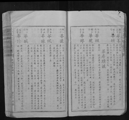 江西叶氏族谱-叶氏七修族谱.pdf电子版插图3