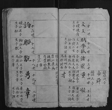 江西叶氏族谱-叶氏家谱.pdf电子版插图3