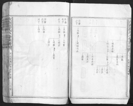 江西应氏族谱-汝南应氏八修族谱.pdf电子版插图3