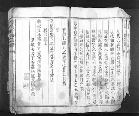 江西袁氏族谱-袁氏十修族谱[不分卷].pdf电子版插图3