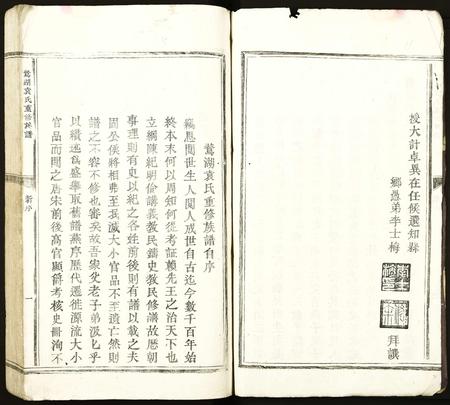 江西袁氏族谱-鹜湖袁氏重修宗谱.pdf电子版插图3