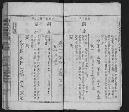 安徽张氏族谱-张氏宗谱.pdf电子版插图3