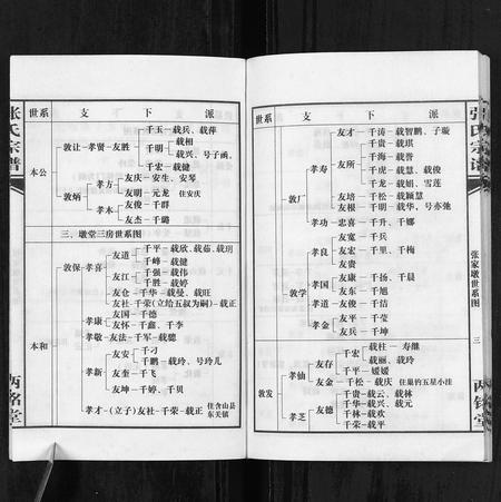 安徽张氏族谱-张氏宗谱.pdf电子版插图3