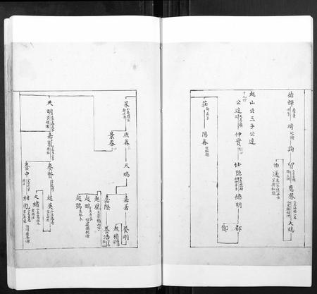 安徽张氏族谱-张氏宗谱[不分卷].pdf电子版插图3