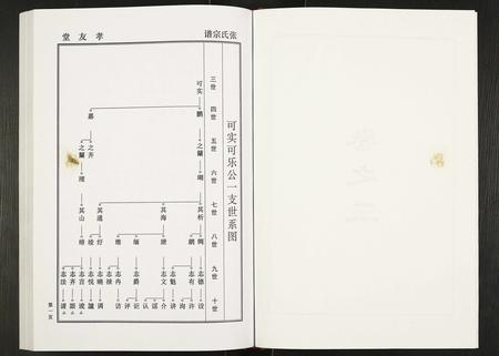 安徽张氏族谱-张氏家谱禄公支系.pdf电子版插图3