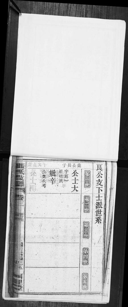 安徽张氏族谱-张氏支谱.pdf电子版插图3