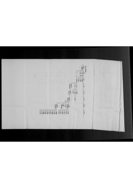 福建李氏族谱-泉州府双溪来台李氏家谱.pdf电子版插图3