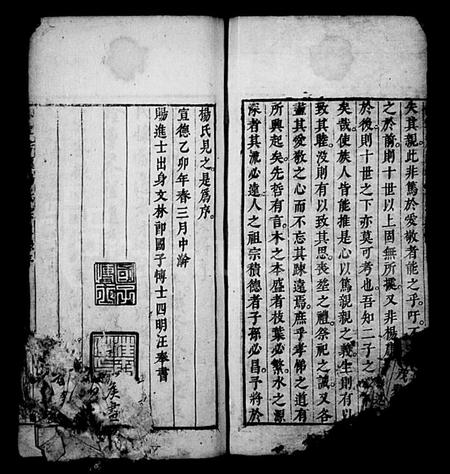安徽杨氏族谱-新安芳溪杨氏宗支录(休宁芳溪杨氏宗支录).pdf电子版插图3