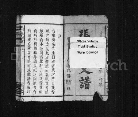 江西张氏族谱-张氏支谱 [4卷](凤门张氏支谱).pdf电子版插图3
