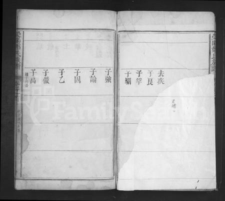 江西郑氏族谱-荥阳郑氏族谱 [1卷,首1卷].pdf电子版插图3