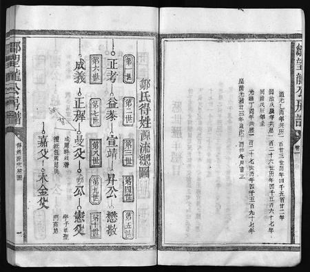 江西邹氏族谱-邹氏九修宗谱 [残卷](邹望龙公房谱).pdf电子版插图3