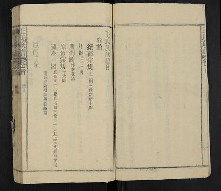 安徽王氏族谱-王氏族谱 [12卷,首末各1卷].pdf电子版插图3