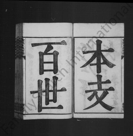 安徽王氏族谱-安吴王氏世谱.pdf电子版插图3
