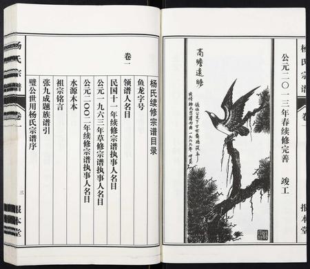 安徽杨氏族谱-杨氏宗谱[31卷].pdf电子版插图3