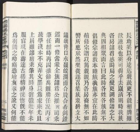 安徽杨氏族谱-潜阳杨氏宗谱.pdf电子版插图3