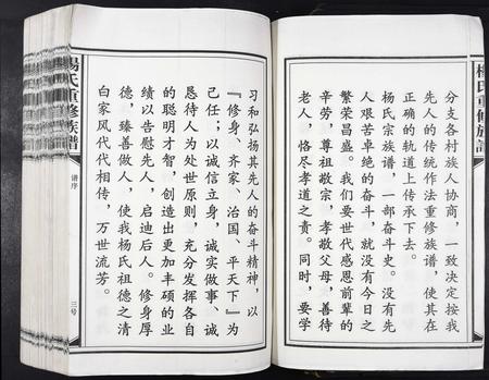 江西杨氏族谱-杨氏重修族谱[不分卷].pdf电子版插图3
