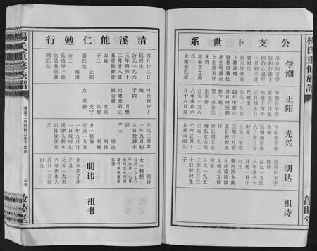 江西杨氏族谱-杨氏重修族谱[不分卷].pdf电子版插图3