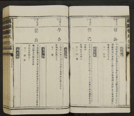 江西杨氏族谱-桥头杨氏族谱 [不分卷].pdf电子版插图3