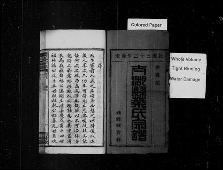 安徽叶氏族谱-叶氏宗谱 [12卷,首末各1卷].pdf电子版插图3
