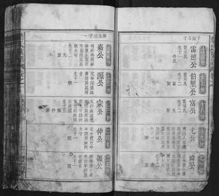 安徽叶氏族谱-叶氏族谱.pdf电子版插图3