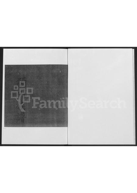 福建陈氏族谱-福建省漳浦县马坪镇后康村山尾社山美堂陈氏家谱 [不分卷].pdf电子版插图3