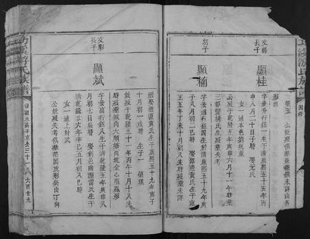 江西游氏族谱-功溪游氏族谱.pdf电子版插图3