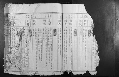 江西袁氏族谱-定南潭庆袁氏四修族谱.pdf电子版插图3