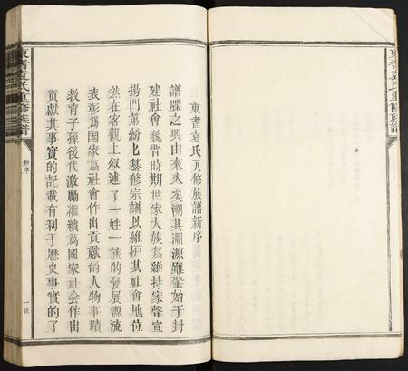 江西袁氏族谱-东耆袁氏重修族谱.pdf电子版插图3