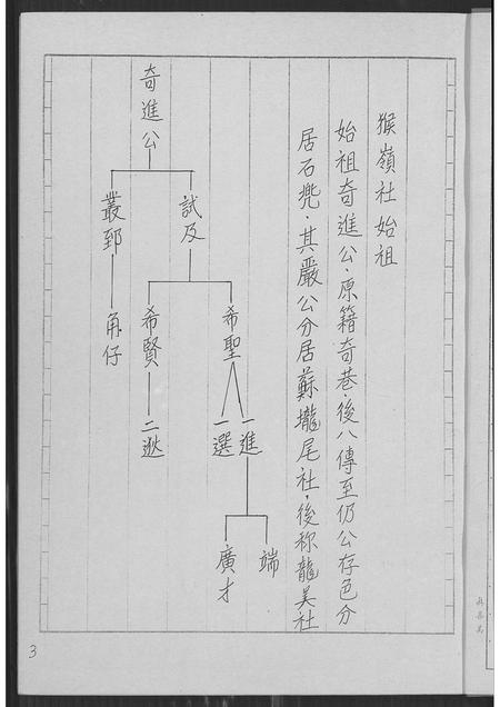 福建林氏族谱-林姓族谱.pdf电子版插图3