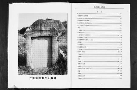 安徽张氏族谱-张氏道二公族谱.pdf电子版插图3
