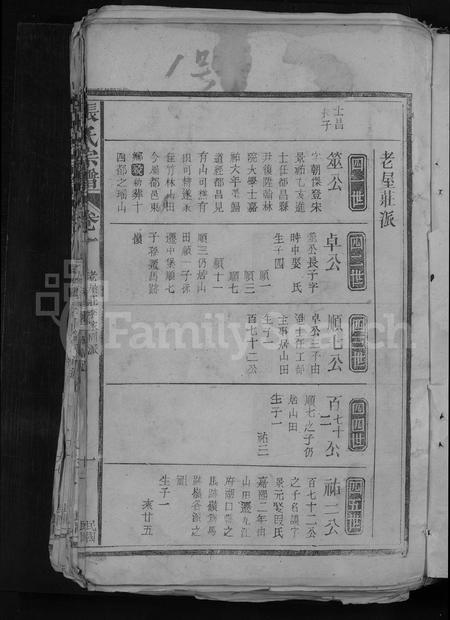 江西张氏族谱-张氏宗谱 [残卷].pdf电子版插图3