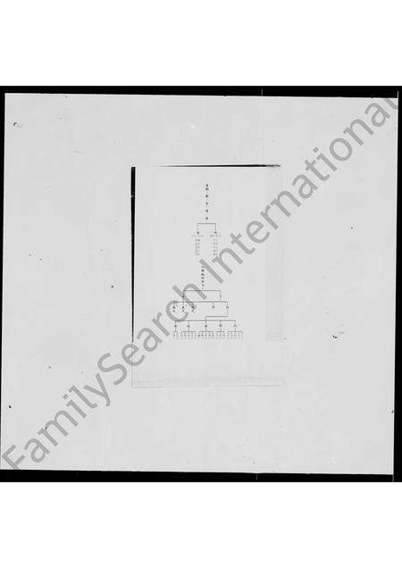 福建林氏族谱-林氏世系表.pdf电子版插图3 福建林氏族谱-林氏世系表.pdf电子版插图3