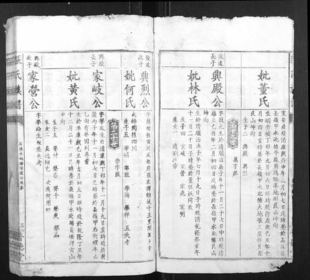 江西张氏族谱-张氏族谱.pdf电子版插图3