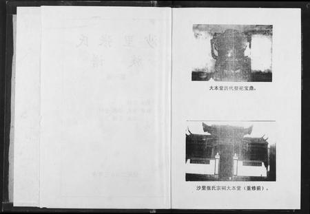 江西张氏族谱-沙里张氏族谱.pdf电子版插图3