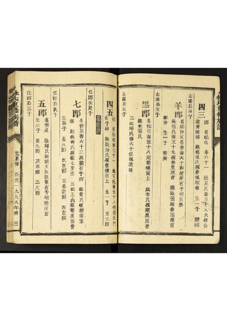 福建林氏族谱-林氏重修族谱.pdf电子版插图3 福建林氏族谱-林氏重修族谱.pdf电子版插图3