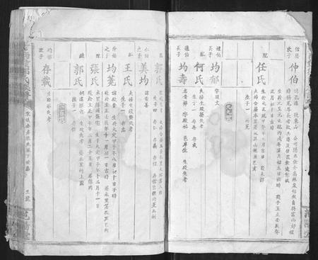 江西邹氏族谱-吉南赣邹氏族谱[不分卷].pdf电子版插图3