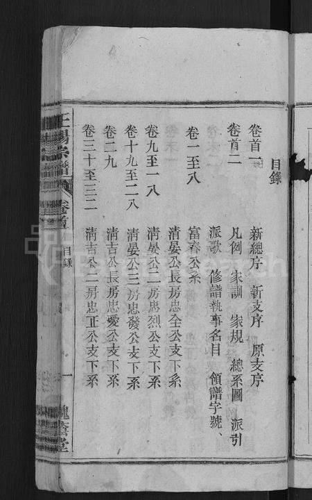 安徽王杨氏族谱-王杨宗谱 [43卷,首末各2卷].pdf电子版插图3
