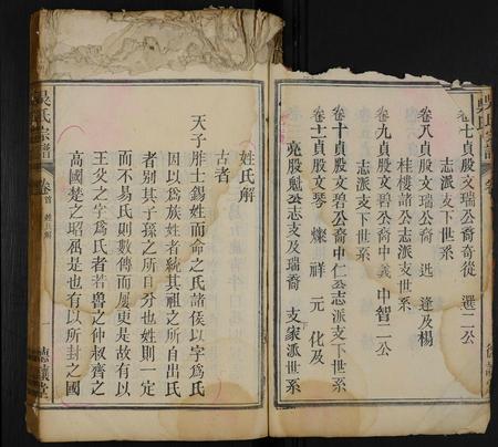 安徽吴氏族谱-吴氏宗谱 [11卷,及卷首].pdf电子版插图3