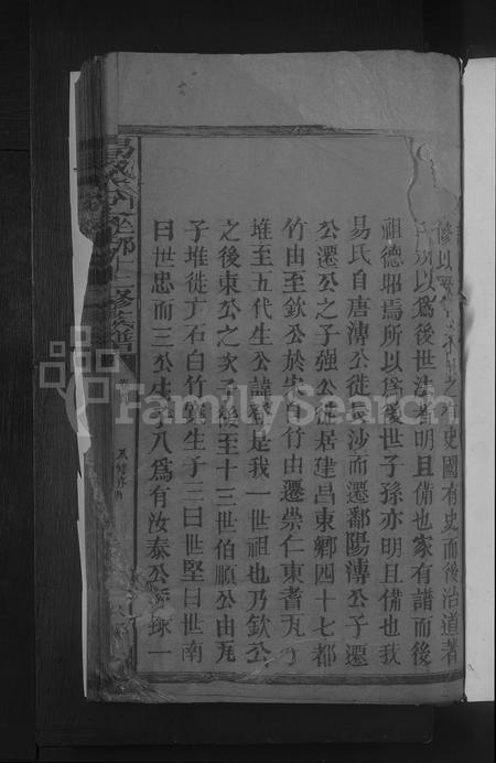 江西易氏族谱-易氏分支坐挪十二修族谱 [残卷].pdf电子版插图3