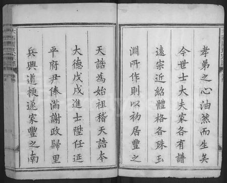 江西周氏族谱-丰谿大石周氏宗谱 [不分卷].pdf电子版插图3