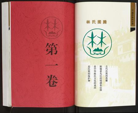 福建林氏族谱-闽沙林氏宗谱.pdf电子版插图3