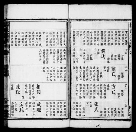 安徽杨氏族谱-杨氏宗谱 [19卷,首1卷].pdf电子版插图3