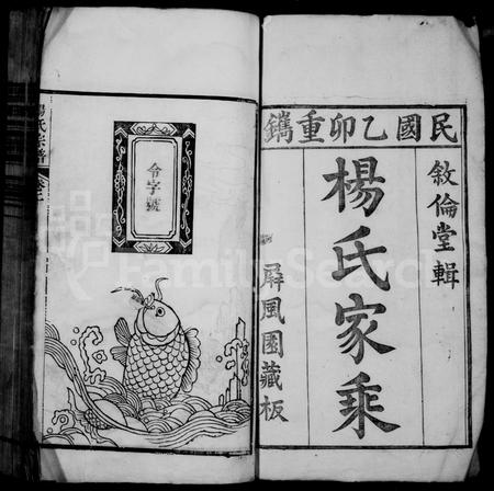 安徽杨氏族谱-杨氏家乘 [16卷].pdf电子版插图3