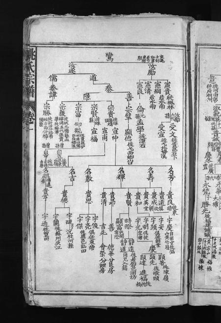 江西姚氏族谱-姚氏宗谱 [卷数不详].pdf电子版插图3
