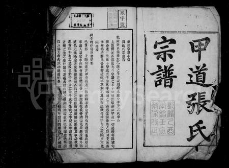 安徽张氏族谱-甲道张氏宗谱 [42卷,续编2卷].pdf电子版插图3