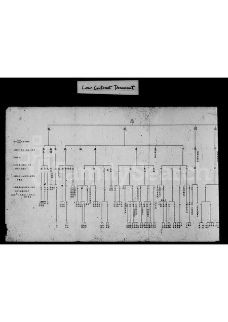 福建林氏族谱-彰化县伸港乡什股村林姓宗族系统表.pdf电子版插图3 福建林氏族谱-彰化县伸港乡什股村林姓宗族系统表.pdf电子版插图3
